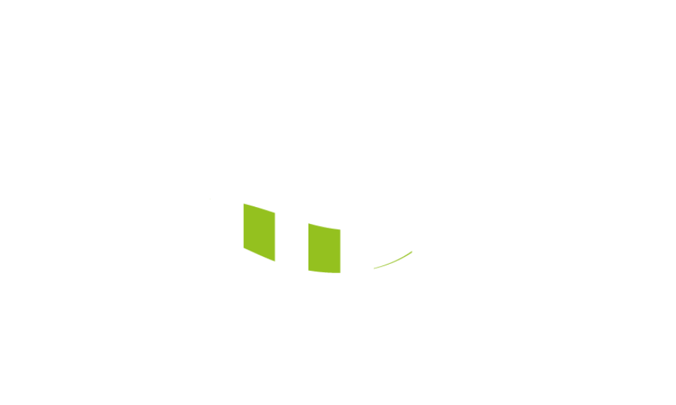 Naian logo